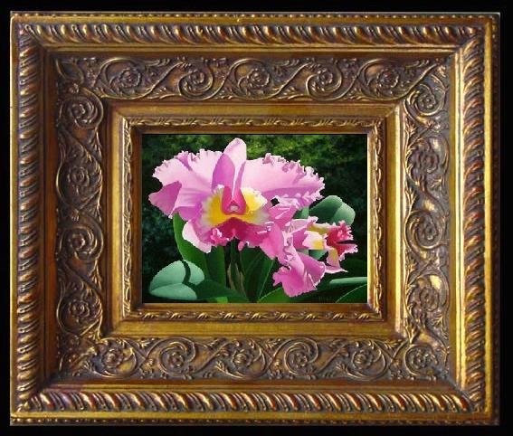 framed  unknow artist Still life floral, all kinds of reality flowers oil painting 50, Ta078